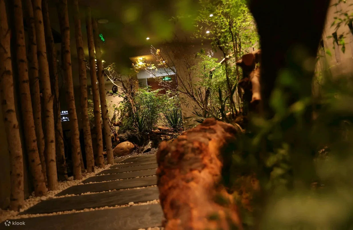  森spa | 泰式按摩 | 森林故事·国贸店